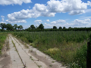 Bedrijfshal en ondergrond zandweg 60a Waardenburg.